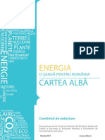 Cartea_alba_a_energiei (2)