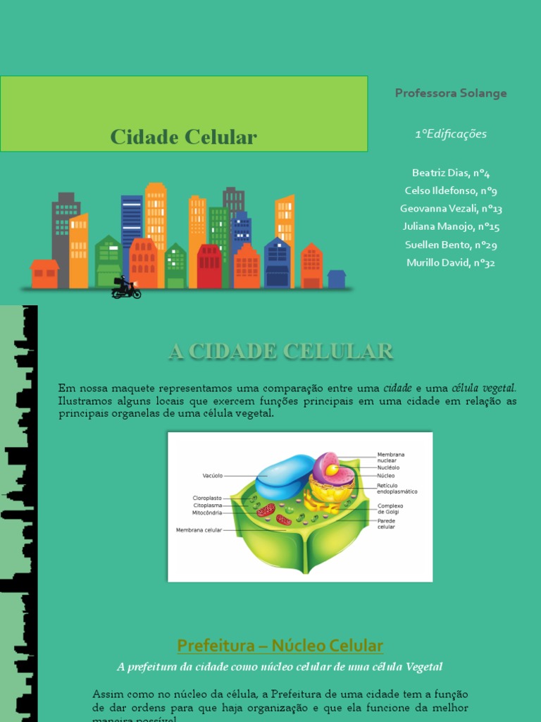 Analogia Da Cidade Com Celula Vegetal