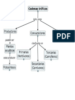 Mapa Concual de Las Cadenas Troficas