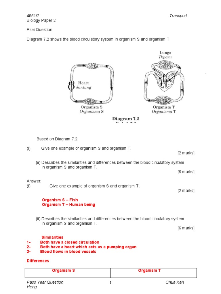 Fish vs Human Circulatory Systems | PDF | Circulatory System | Heart
