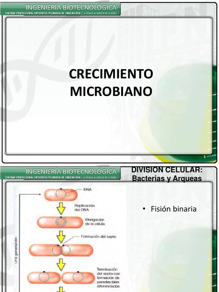 crecimiento-microbiano-pdf-biolog-a-organismos