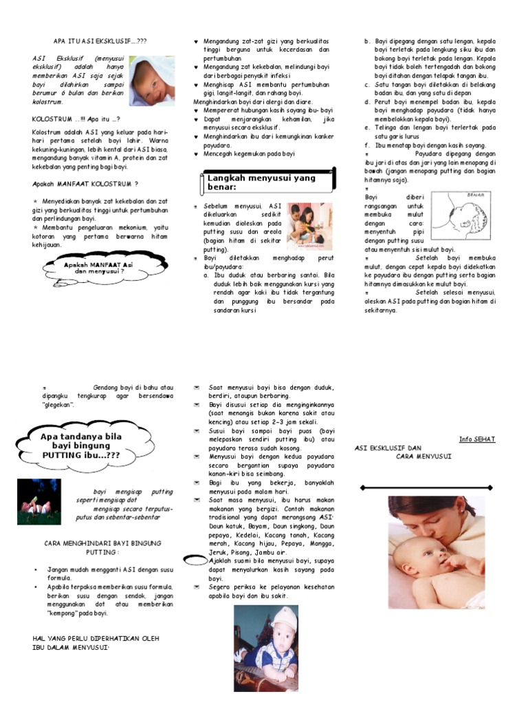 ASI Eksklusif Leaflet PDF