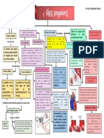 Mapa Conceptual - Vasos Snguíneos
