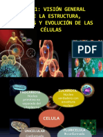 Estructura y evolución de las células