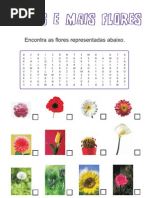 Sopa de Letras - Flores e mais Flores