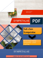 Sympetalae