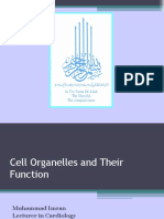 Cell Organelles and Their Function.