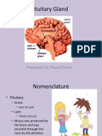 Pituitary Gland: Prepared by Yousaf Khan