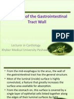 Structure of The Gastrointestinal Wall