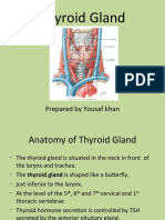 Anatomy and Functions of the Thyroid Gland