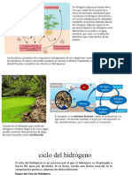 Presentación Ing. Ambiental Biogeoquimicos