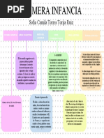 Torres Torija Ruiz Sofia Camila | PDF | Adultos | Vejez