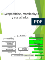 II Parcial Monilophyta (Pteridophyta) 2020