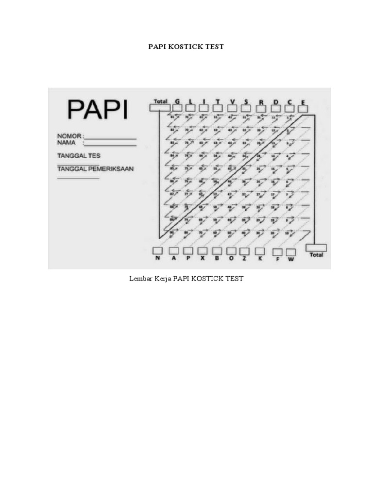 Panduan Lengkap Tes PAPI Kostick | PDF