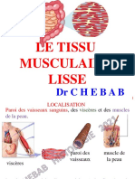 3 - Diapo - Tissu Musculaire Lisse