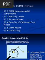 Module 8b: CMMI Overview