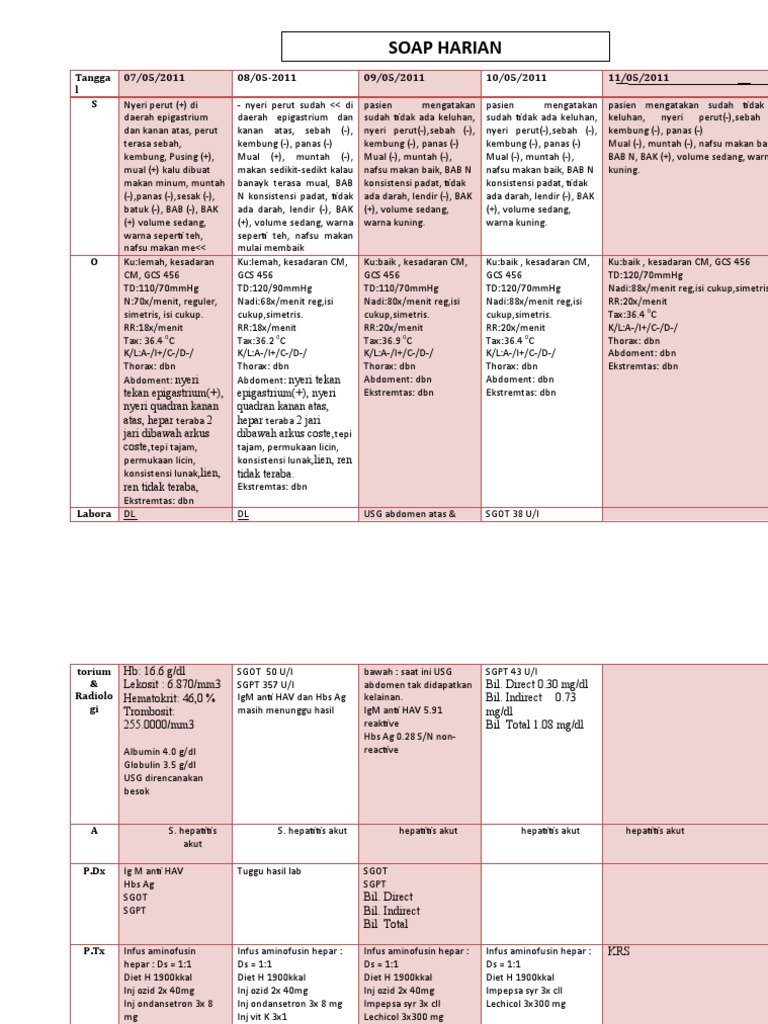 SOAP Hepatitis PDF