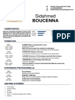 Curriculum Vitae ( Français) BOUCENNA Sidahmed