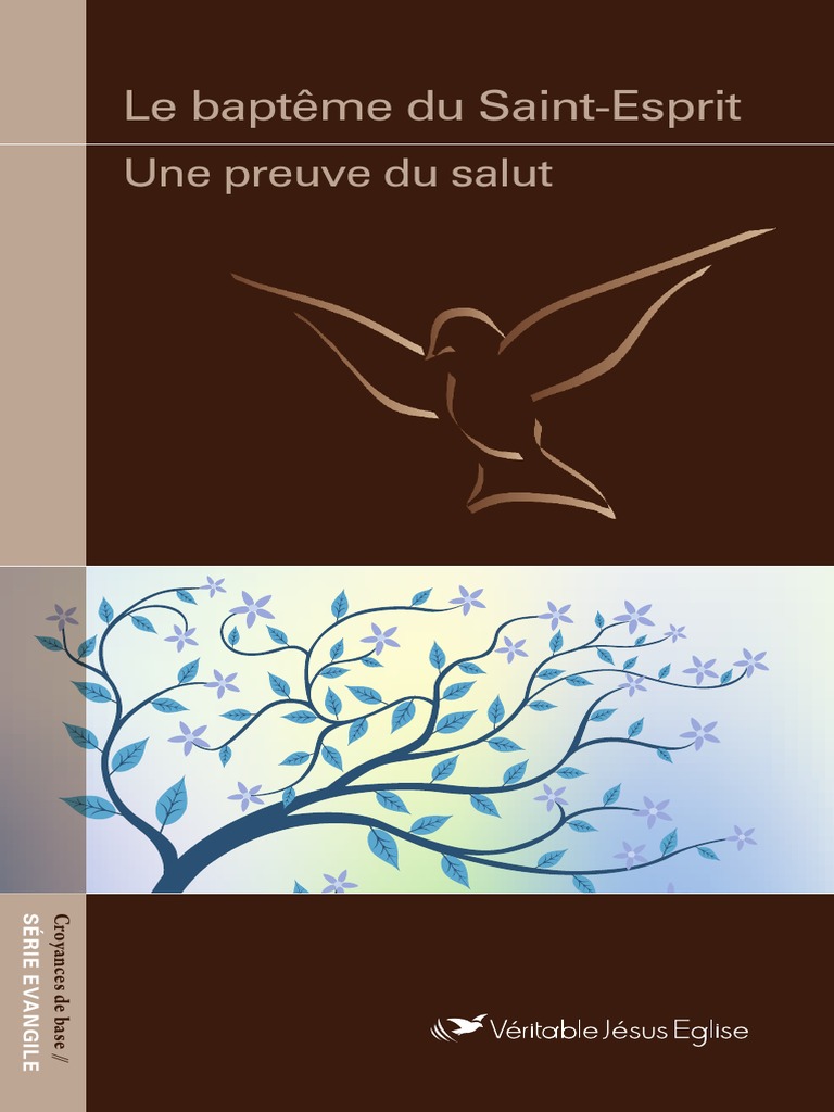 Le Baptême Du Saint Esprit PDF