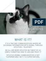 Intuitive Animal Communications Getting Started Oilibu