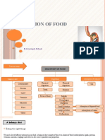 Digestion of Food - Lilip