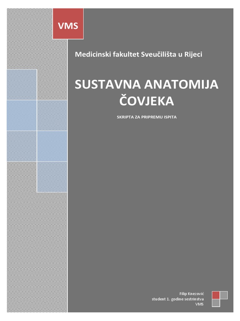 Anatomija | PDF