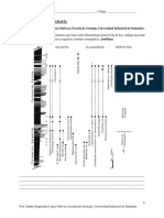 Taller de Bioestratigrafía 15dic2021