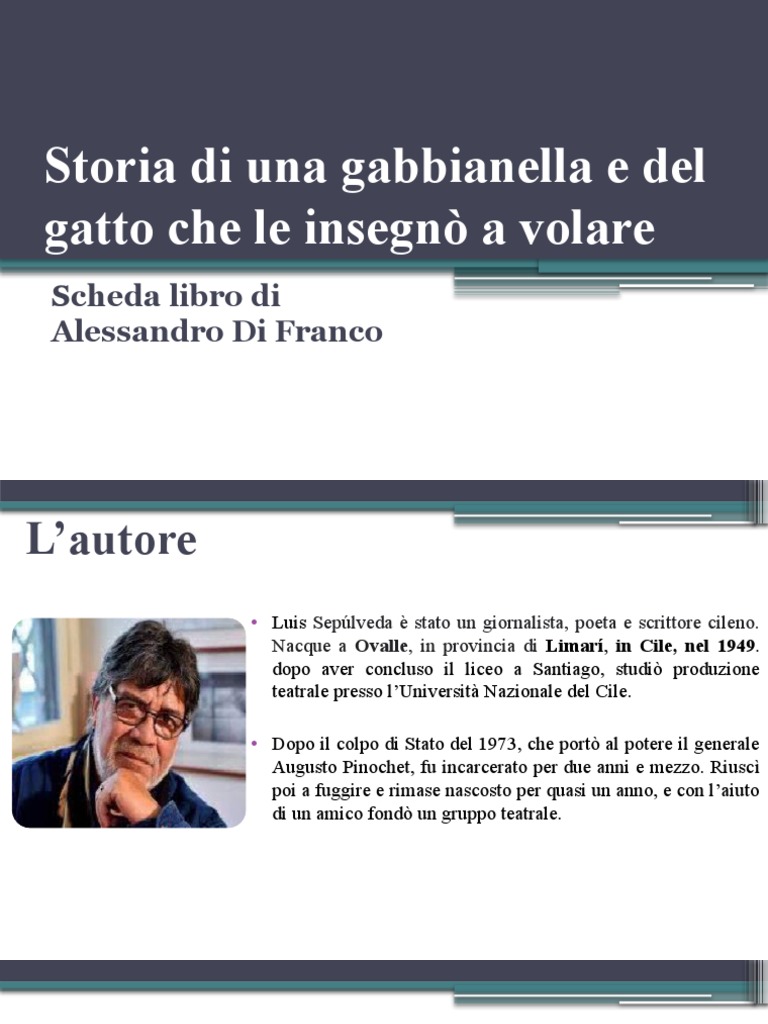 Storia Di Una Gabbianella e Del Gatto Che Le Insegnò A Volare-Scheda ...