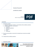 Jurisdicción cautelar y medidas precautorias