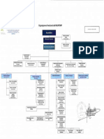 Organigrama Funcional Febrero 2022