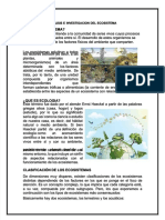 PDF Analisis e Investigacion Del Ecosistema Compress