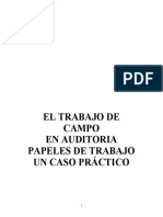 El Trabajo de Campo en Auditoría - Papeles de Trabajo