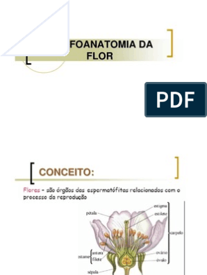 Diagrama para Morfologia e anatomia da flor