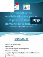 Formation de Formateur Sur La Sensibilisation Aux Gestes Et Postures Dans Le Domaine de Nettoyage