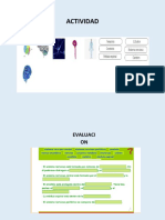 Sistema Nervioso Ectividad y Evaluacion