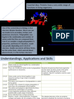 Essential Idea: Proteins Have A Very Wide Range of Functions in Living Organisms