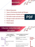 Glucose homeostasis regulation by insulin and glucagon hormones