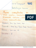 Mapa Conceptual Sobre CICLO OVARICO, OVULACION, DESARROLLO FOLICULAR, CICLO MENSTRUAL y FASES ENDOMETRIALES