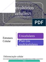 Envoltórios Celulares