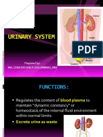 Urinary System: Prepared By: Ma. Concepcion F. Columbres, MN