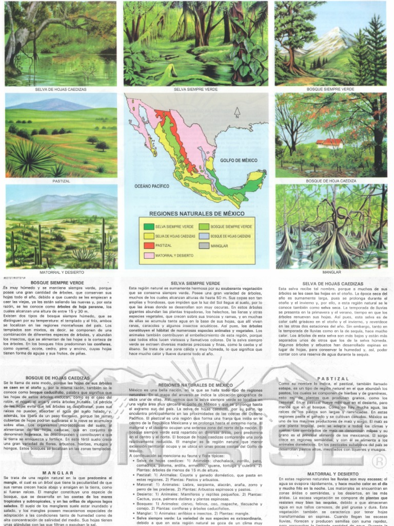 Regiones Naturales De Mexico Cuáles Son Las REGIONES NATURALES De