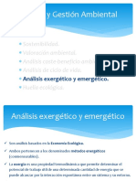 1.5. Análisis Exergético y Emergético