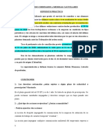 PROCESO ORDINARIO (medidas cautelares...) (práctica)