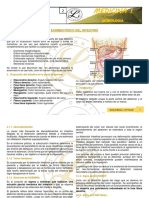 Examen Fisico Del Intestino