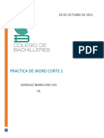 Práctica Word Palillo - C2