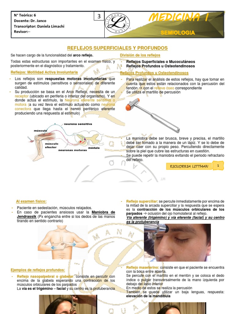 Reflejos Superficiales y Profundos | PDF | Codo | Pie