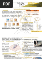 111didáctica Magna - PDF Versión 1 | PDF | Bibliotecas