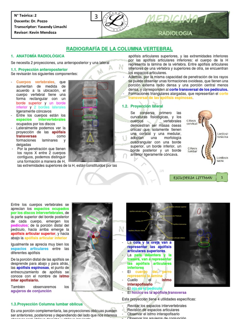 RX de Columna Vertebral | PDF | La columna vertebral | Vértebra
