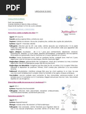 Virologie Sciences De La Sante Medical