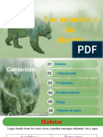 Animales y Plantas